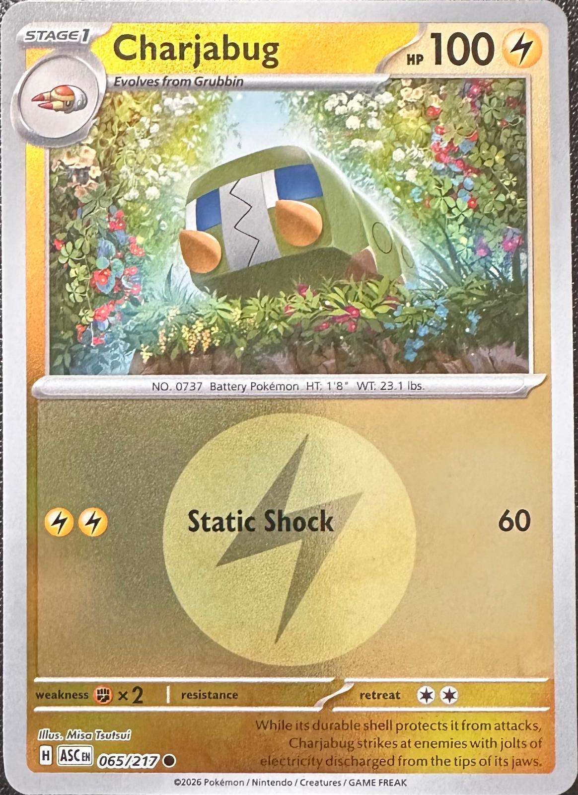 Ascended Heroes Charjabug [Energy] Pokémon card